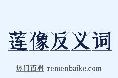 莲像反义词是什么意思的图片